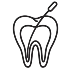 Endodoncia